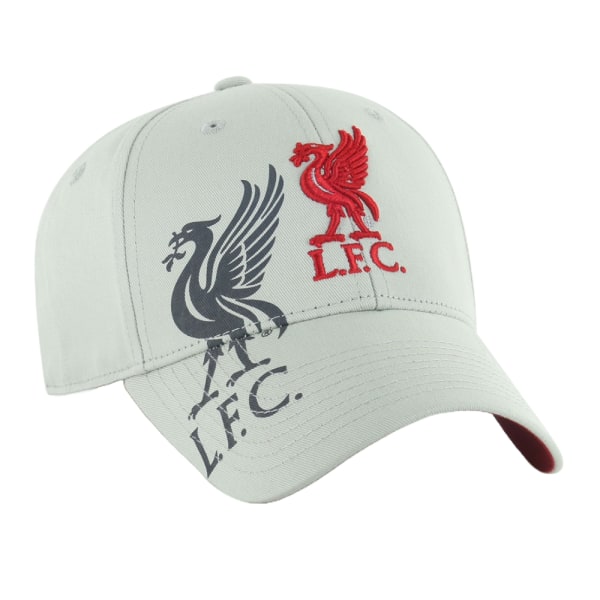 Liverpool FC Unisex Adult Obsidian Crest cap One Size Grey One Size