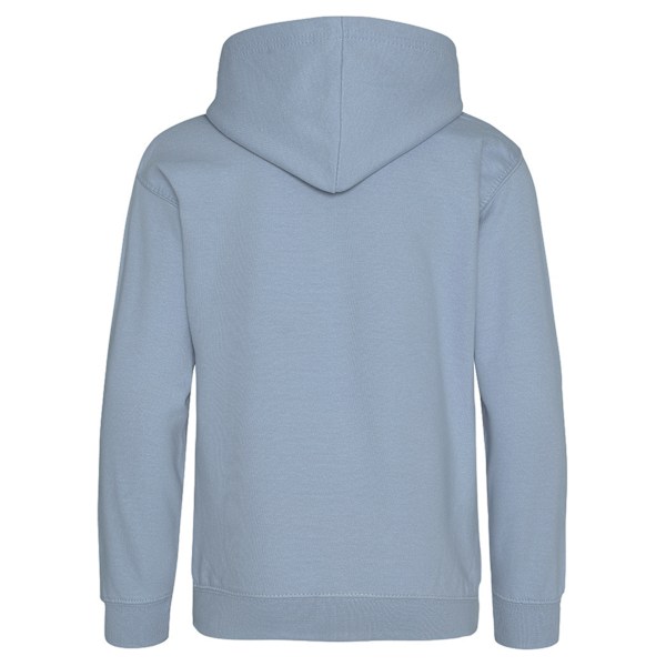 Awdis Barn Unisex Huvtröja / Hoodie / Skolkläder 3-4 År Sky Blue 3-4 Years