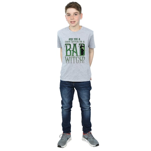 Trollkarlen från Oz pojkar goda häxan onda häxan T-shirt 5-6 år Sp Sports Grey 5-6 Years