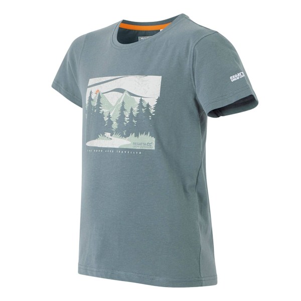 Regatta Barn/Barn Bosley VIII Forest T-Shirt 5-6 År Sto Stormy Weather 5-6 Years
