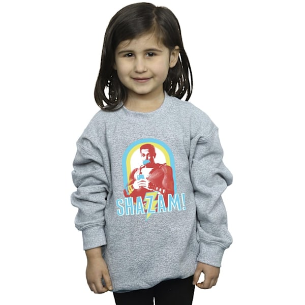 DC Comics Girls Shazam Buble Gum Frame Sweatshirt 3-4 år Spo Sports Grey 3-4 Years