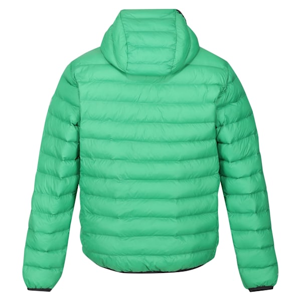 Regatta Marizion Vadderad Jacka med Huva för Män M Field Gree Field Green/Jasmine Green M
