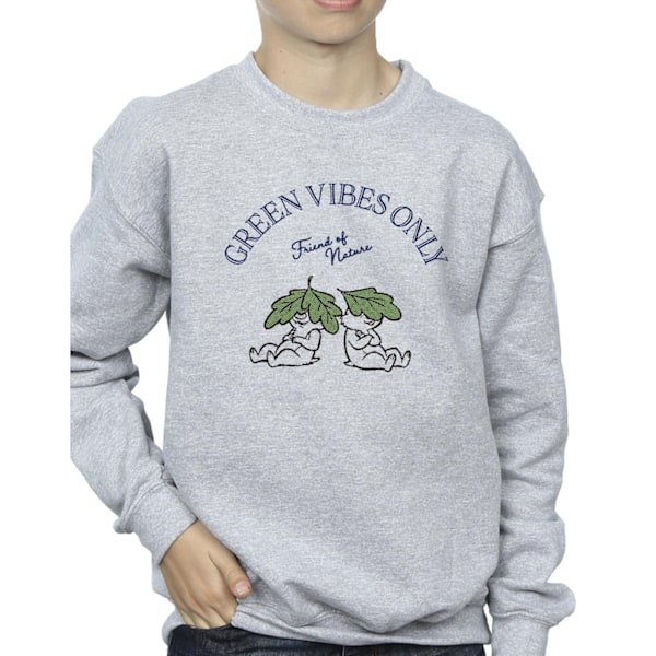 Disney Boys Chip ´n Dale Green Vibes Only Sweatshirt 3-4 år Sports Grey 3-4 Years