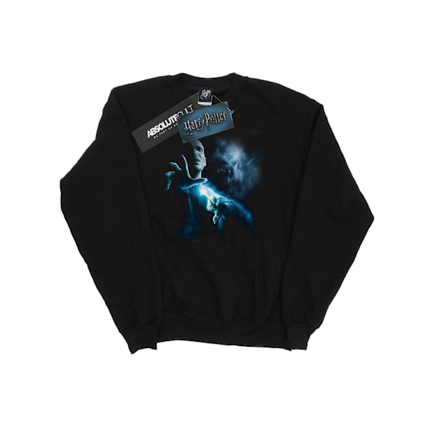 Harry Potter Herr Voldemort Shadow Sweatshirt XXL Svart Black XXL