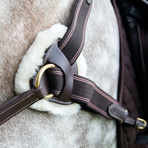 Salisbury Läderstygn Hästbröstplatta Ponny Australisk Nöt Australian Nut Pony