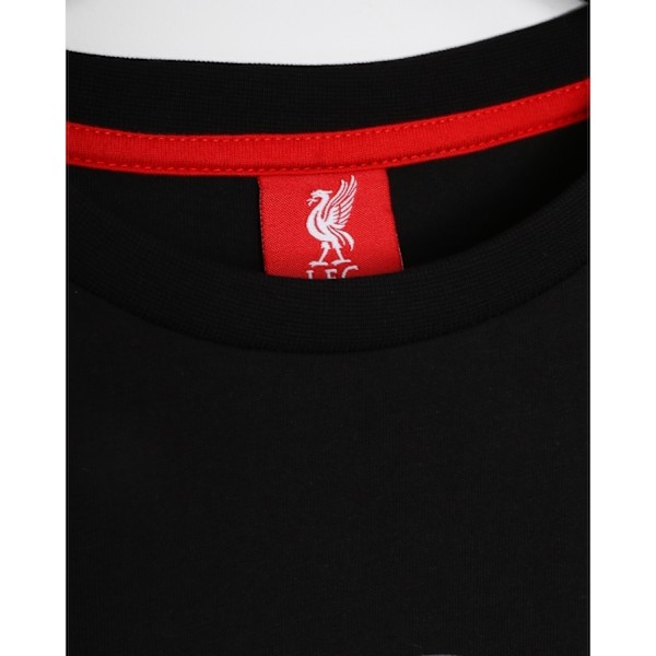 Liverpool FC herr This Is Anfield T-shirt L svart/grå Black/Grey L