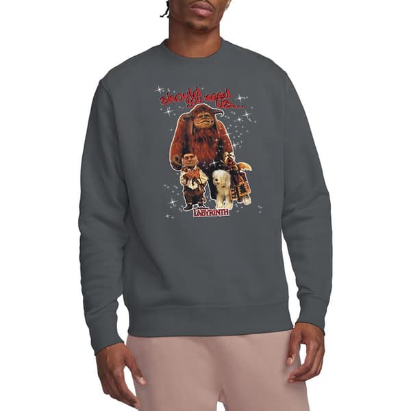 Labyrinth Unisex Vuxen Should You Need Us Sweatshirt L Kolgrå Charcoal L