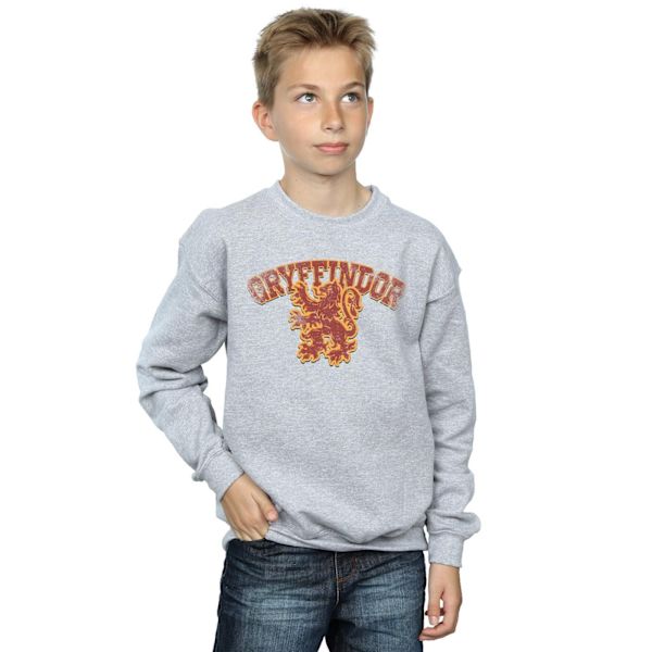 Harry Potter Pojkar Gryffindor Sport Emblem Sweatshirt 7-8 År Sports Grey 7-8 Years