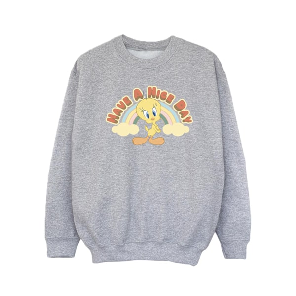 Looney Tunes Girls Have A Nice Day Sweatshirt 5-6 år Sport Sports Grey 5-6 Years