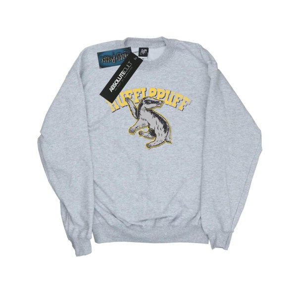 Harry Potter Dam/Kvinnor Hufflepuff Sport Emblem Sweatshirt X Heather Grey XXL