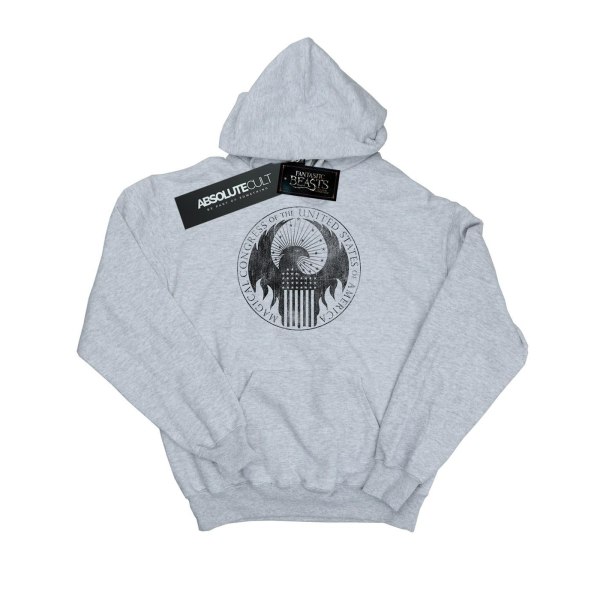 Fantastiska vidunder Pojkar Distressed Magical Congress Hoodie 5-6 år Sports Grey 5-6 Years