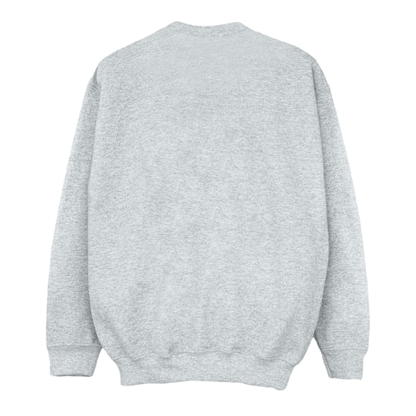Harry Potter Pojkar Slytherin Sport Emblem Sweatshirt 7-8 År S Sports Grey 7-8 Years