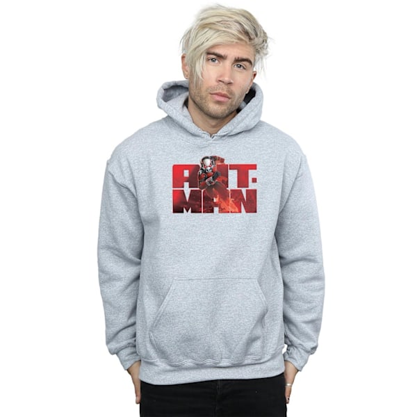 Marvel Herr Ant-Man Löparhoodie M Sports Grey Sports Grey M