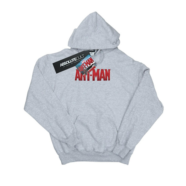 Marvel Dam/Kvinnor Ant-Man Filmlogotyp Hoodie S Heather Grey Heather Grey S