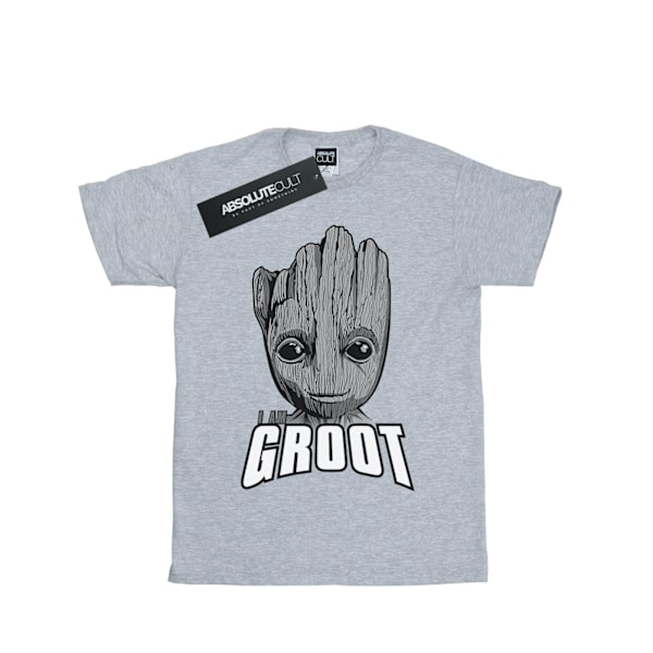 Marvel Herr Guardians Of The Galaxy Groot Face T-Shirt S Sports Sports Grey S