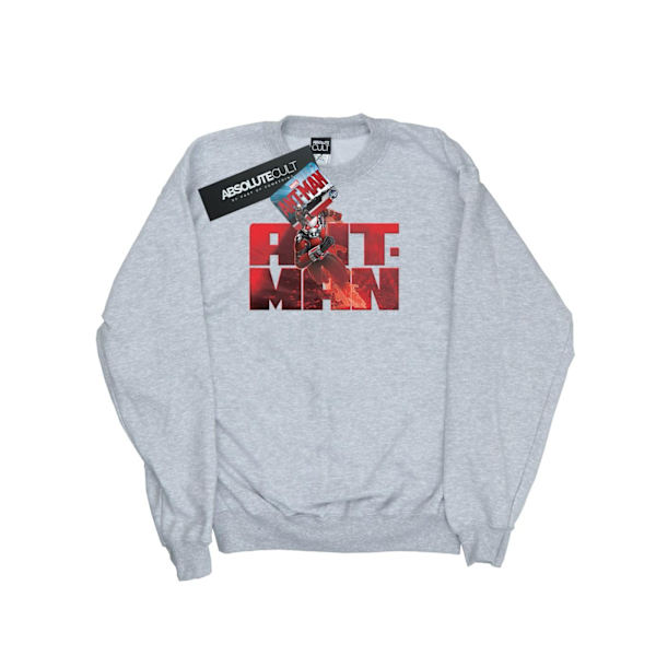 Marvel Boys Ant-Man Löpartröja 5-6 År Sports Grey Sports Grey 5-6 Years