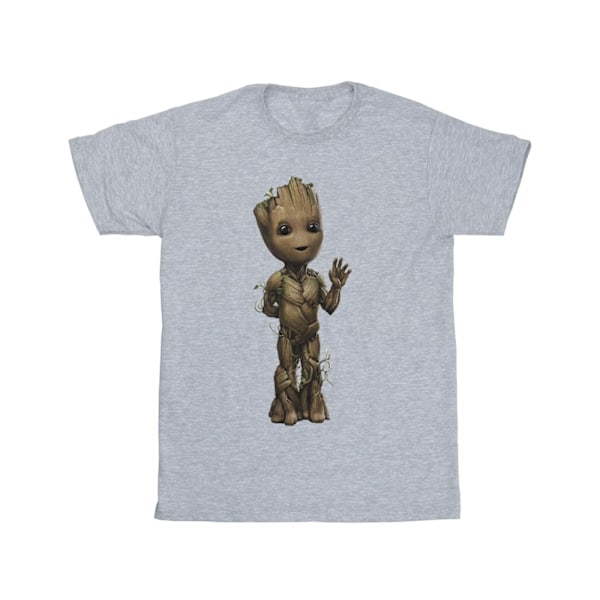 Marvel Mens I Am Groot Wave Pose T-Shirt M Sports Grey Sports Grey M