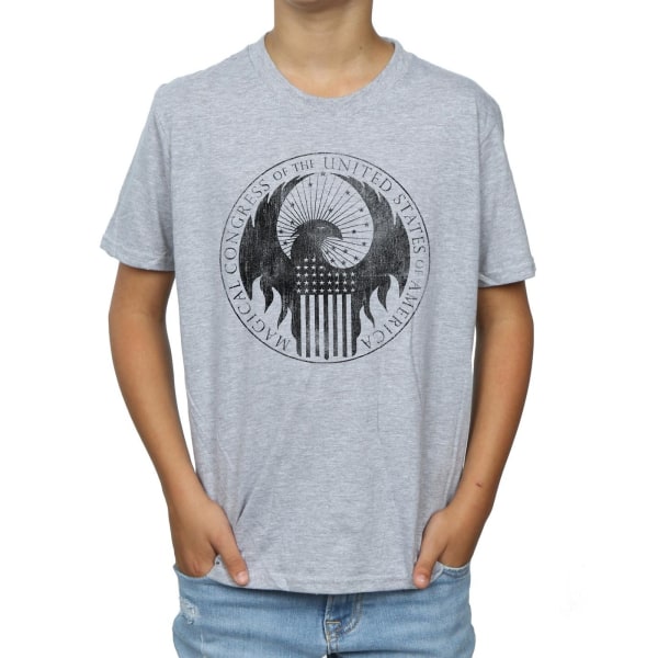Fantastic Beasts Boys Distressed Magical Congress T-Shirt 7-8 Y Sports Grey 7-8 Years