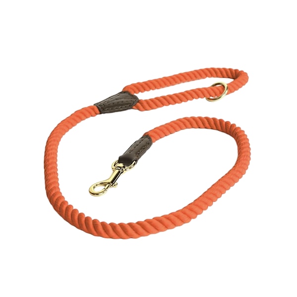 Digby & Fox Twisted Hundkoppel Storlek One Orange Orange One Size
