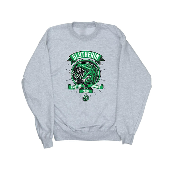 Harry Potter Flickor Slytherin Toon Crest Sweatshirt 12-13 År Sports Grey 12-13 Years