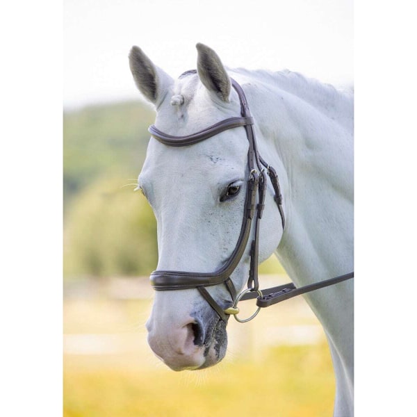 Velociti Ergonomisk Läder Böjd Häst Flash Bridle X Full Havanna Havana X Full