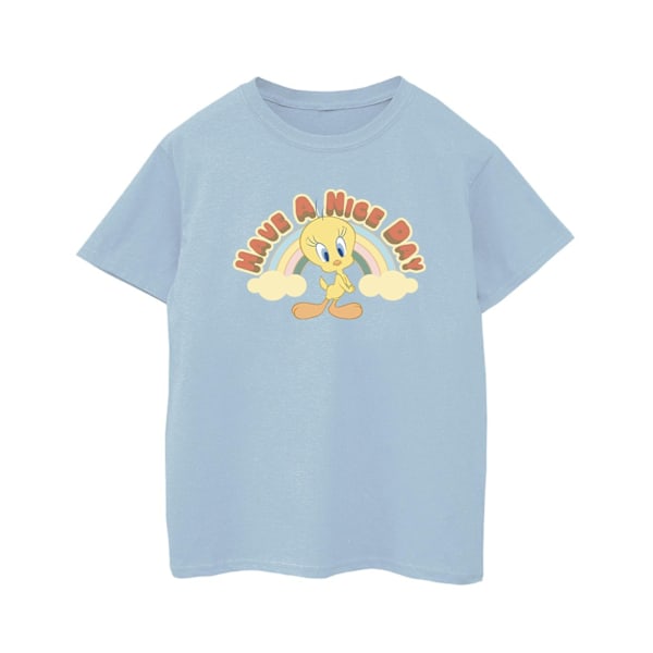 Looney Tunes Boys Have A Nice Day T-Shirt 3-4 år Baby Blue Baby Blue 3-4 Years