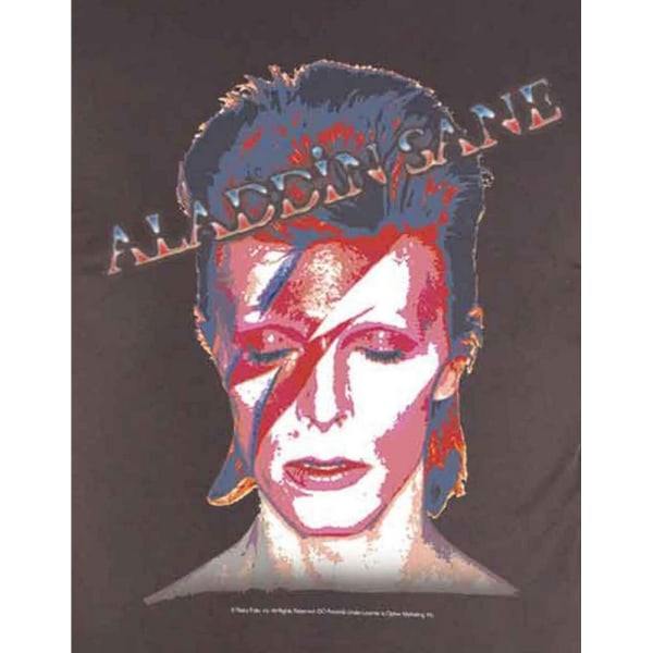 David Bowie Unisex Vuxen Aladdin Sane T-Shirt M Kolgrå Charcoal Grey M