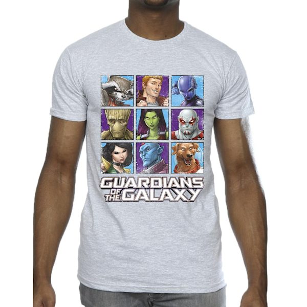 Guardians Of The Galaxy Herr Karaktär Rutor T-shirt 5XL Spor Sports Grey 5XL