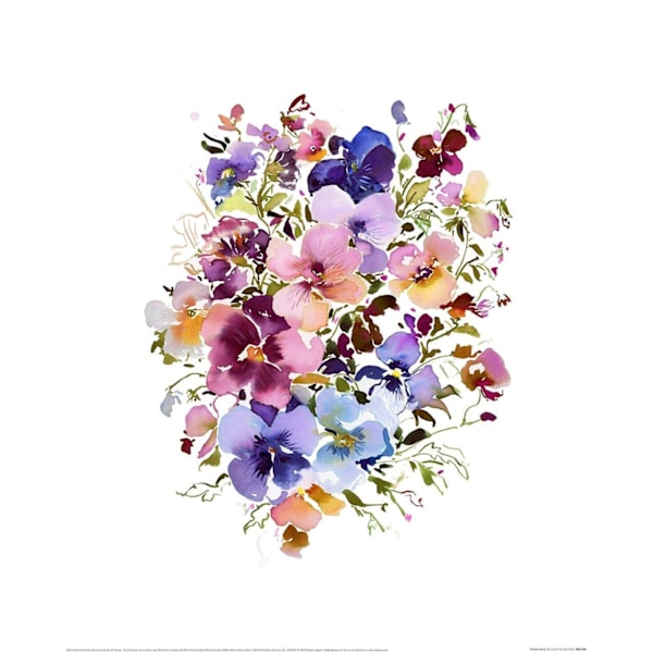 Summer Thornton Chelsea Pansys Print 50cm x 40cm x 0.21cm Vit White/Multicoloured 50cm x 40cm x 0.21cm