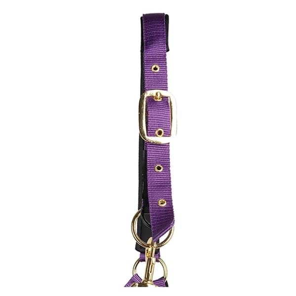 Hy Fieldsafe Hästgrimma Full Lila Purple Full