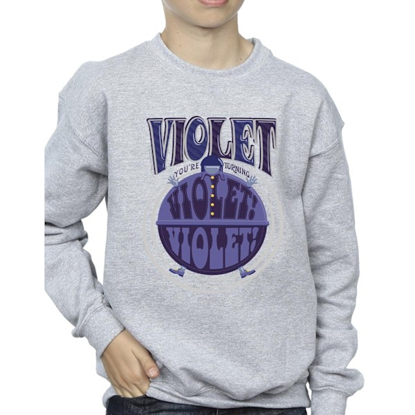 Willy Wonka Boys Violet Turning Violet Sweatshirt 5-6 år Spo Sports Grey 5-6 Years