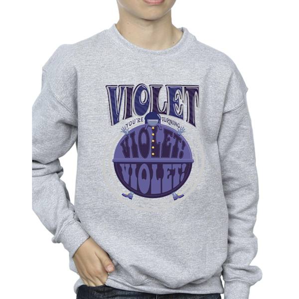 Willy Wonka Boys Violet Turning Violet Sweatshirt 9-11 år Sports Grey Sports Grey 9-11 Years