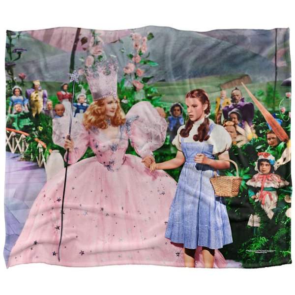 Trollkarlen från Oz Scen Dorothy Filt En Storlek Flerfärgad Multicoloured One Size