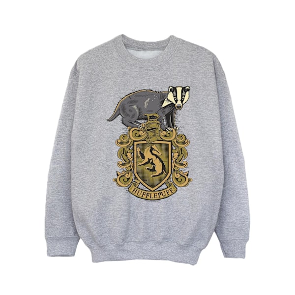 Harry Potter Flickor Hufflepuff Sketch Crest Sweatshirt 3-4 År Sports Grey 3-4 Years