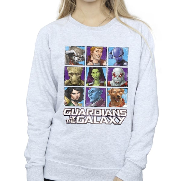 Guardians Of The Galaxy Kvinnor/Dam Karaktärsrutor Sweatsh Sports Grey XL