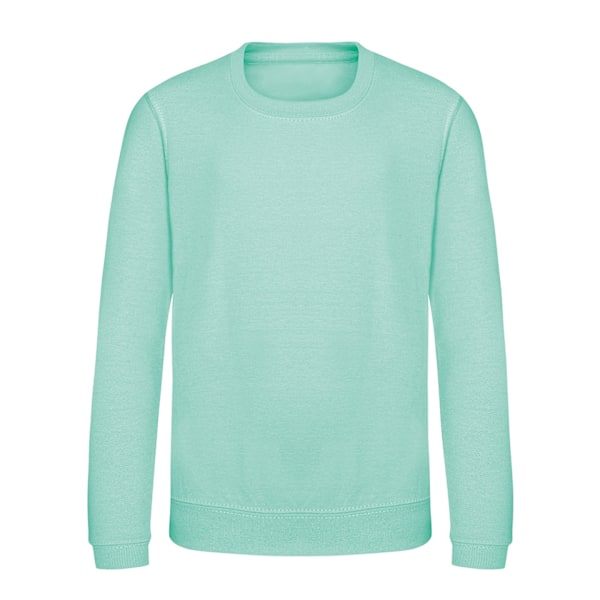 AWDis Just Hoods Barn/Barn Ungdom Enfärgad Sweatshirt med Rund Hals 12-1 Peppermint 12-13 Years