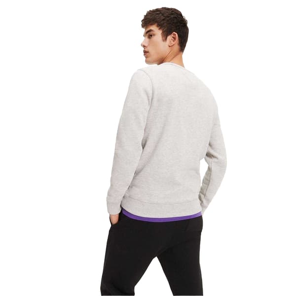 Tommy Jeans Herr Tröja med fleecefoder XS Gråmelerad Grey Heather XS