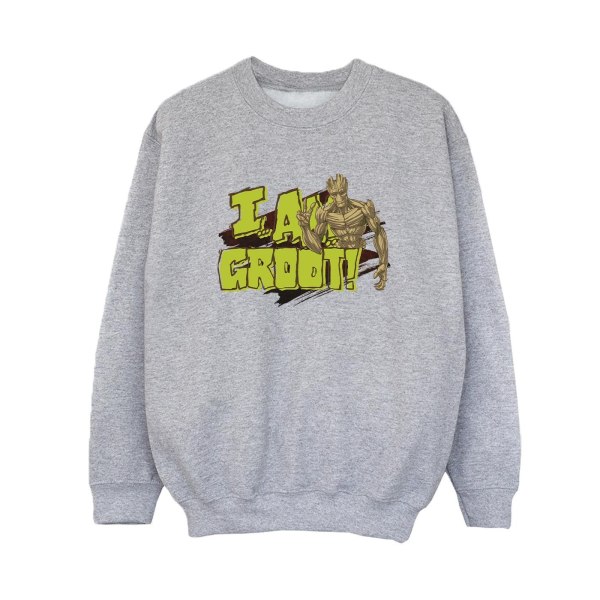 Guardians Of The Galaxy Boys I Am Groot Sweatshirt 5-6 Years Sp Sports Grey 5-6 Years
