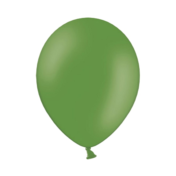 Belbal 10,5 tums ballonger (paket med 100) One size i en storlek Pastel Leaf Green One Size