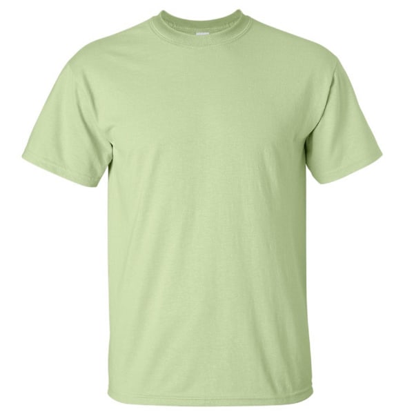 Gildan Mens Ultra Cotton Kortärmad T-shirt L Pistachio Pistachio L
