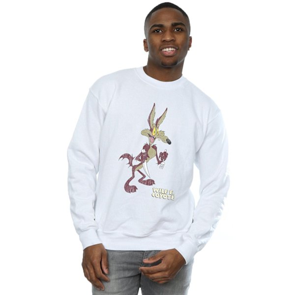 Looney Tunes Herr Wile E Coyote Distressed Sweatshirt 4XL Vit White 4XL