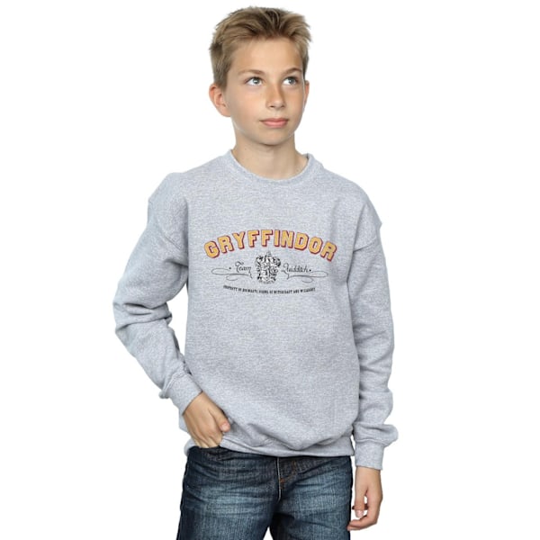Harry Potter Pojkar Gryffindor Team Quidditch Sweatshirt 7-8 År Sports Grey 7-8 Years