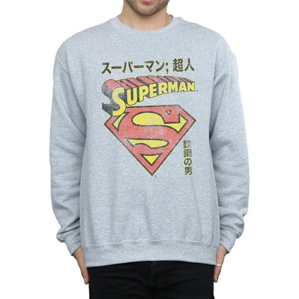 DC Comics Herr Superman Shield Sweatshirt L Sports Grey Sports Grey L