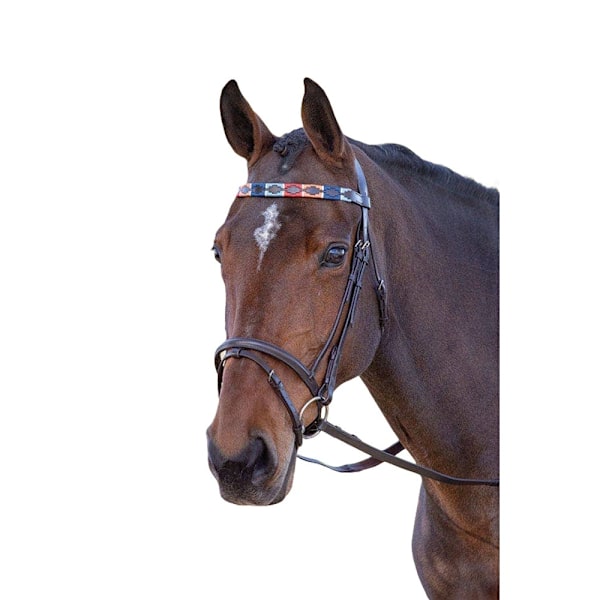 Blenheim Läder Polo Häst Pannband Cob Turkos/Röd/Orange/Blå Turquoise/Red/Orange/Blue Cob
