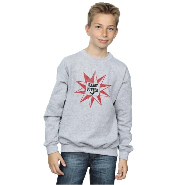 Harry Potter Hedwig Star Sweatshirt för pojkar 5-6 år Sports Grey Sports Grey 5-6 Years