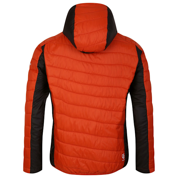 Dare 2B Touring Vadderad Jacka Herr S Rooibos Tea/Puffins Orange Rooibos Tea/Puffins Orange S