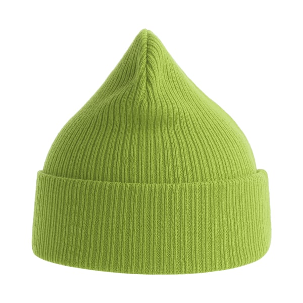 Atlantis Unisex Vuxen Nelson Ribbad Ekologisk Bomulls Mössa En Storlek Leaf Green One Size