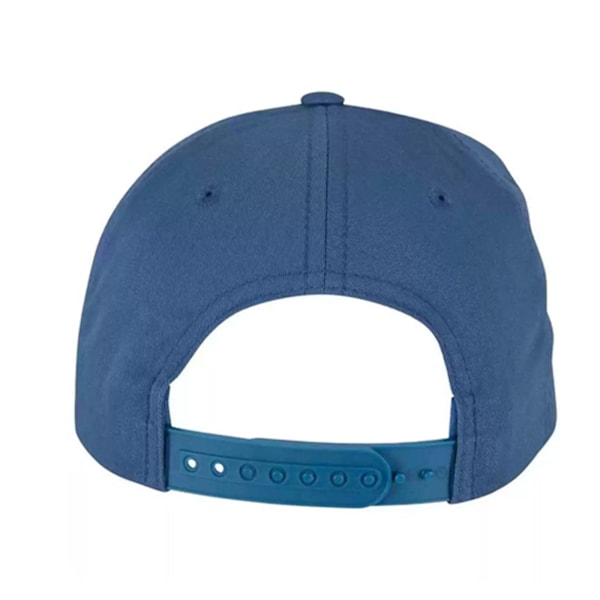 Flexfit Unisex Curved Classic Snapback Cap One Size Delft Delft One Size