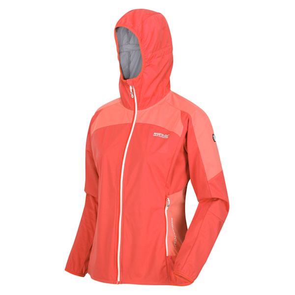 Regatta Dam/Kvinnor Tarvos IV Softshell Jacka 10 UK Neon Pea Neon Peach/Fusion Coral 10 UK