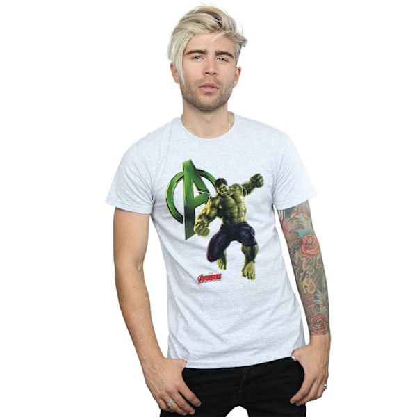 Hulk Pose T-shirt XXL Sports Grey för män Sports Grey XXL
